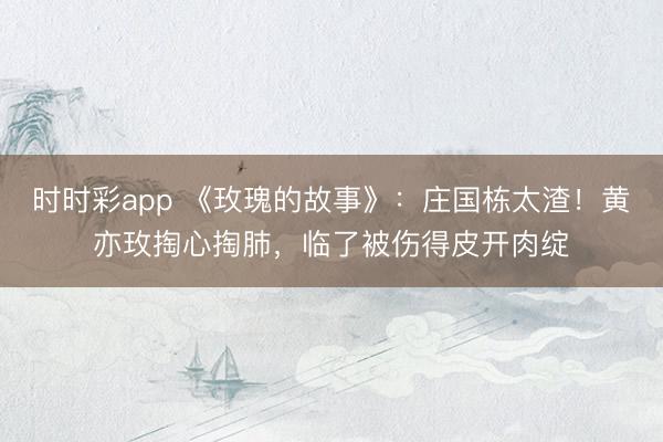 時(shí)時(shí)彩app 《玫瑰的故事》：莊國(guó)棟太渣！黃亦玫掏心掏肺，臨了被傷得皮開(kāi)肉綻